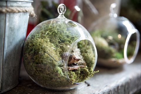 Moxom And Whitney - See Attractions 0