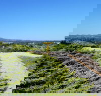 Mt Lindsay Rotary Park - Attractions