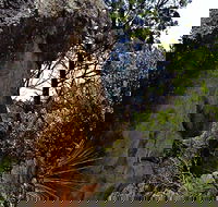 Mystery Face Walking Track - Attractions