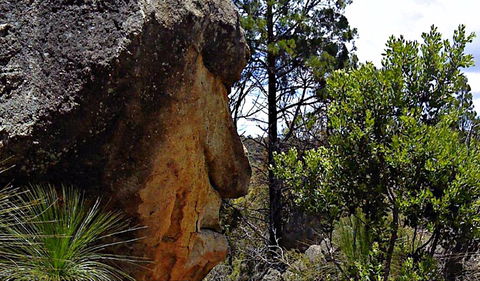 Mystery Face Walking Track - Attractions Las Vegas 0