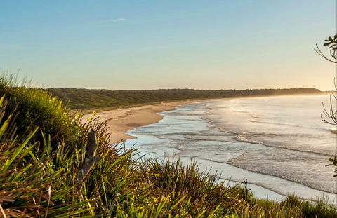Narrawallee Creek Nature Reserve - Attractions 0
