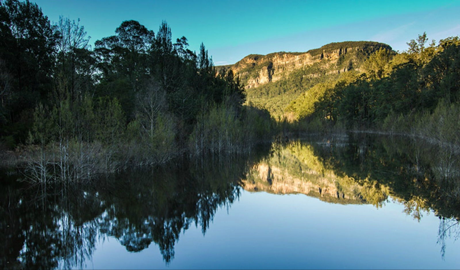 Wattle Ridge NSW Attractions