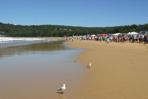 Ocean Beach Umina - Attractions 0