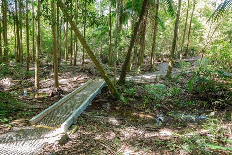 Old Bottlebutt - Attractions 0