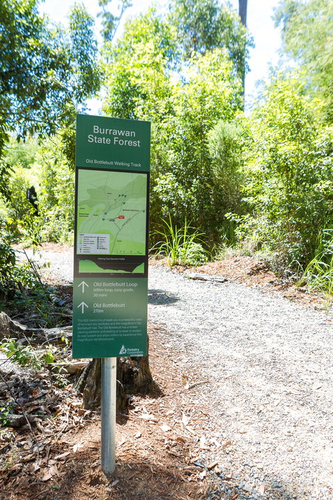 Old Bottlebutt - Attractions 1