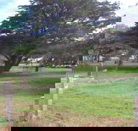Old Cemetery Kingscote - Attractions