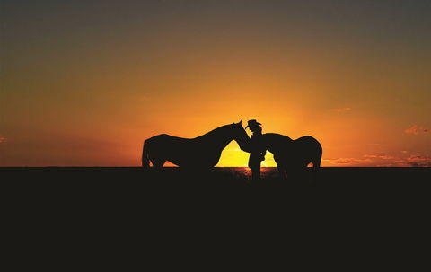 Outback Pony Rides Farm Experience - Attractions 0
