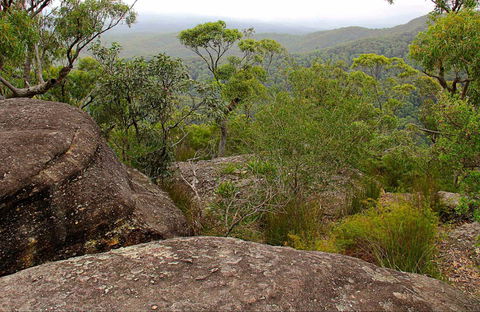 Pigeon House Mountain Didthul Walking Track - Attractions 0