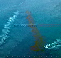 Port Noarlunga Reef Sanctuary Zone - Encounter Marine Park - Attractions