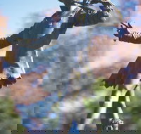 Queens Gardens - Attractions