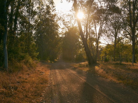 Raysource Road - Attractions 1