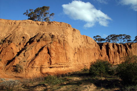 Red Banks Conservation Park - Attractions 0