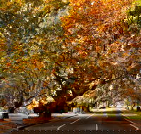 Richmond - Attractions