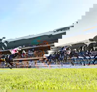 Rosehill Gardens Racecourse - Attractions