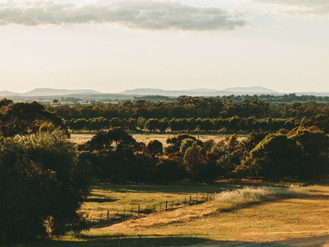 Rutherglen Wine Bottle - Attractions 2