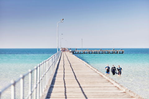 Rye Bay Trial - Attractions 1