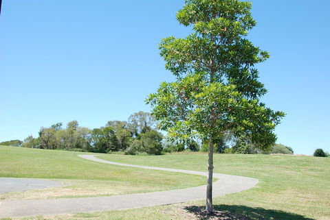Samford Valley Rail Trail - Attractions 2