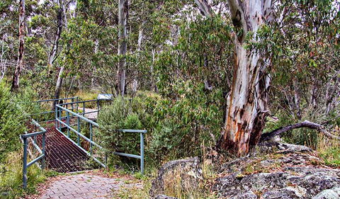 Sawpit Walking Track - Attractions 0
