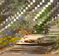 Scotsdale Tourist Drive - Attractions