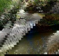 Second Ponds Creek Walk - Attractions