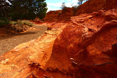 Skytrek - Attractions Las Vegas 1