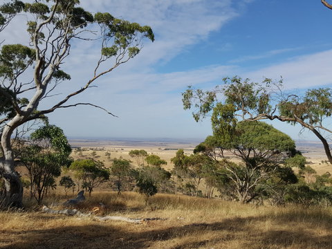 Spring Gully Conservation Park - Attractions 1