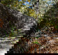 Starlights Trail - Attractions