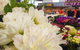 Sydney Flower Market - thumb 1