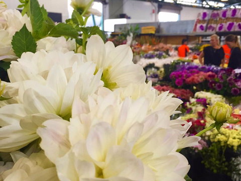 Sydney Flower Market - Attractions 1