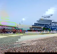 Tabcorp Park - Attractions