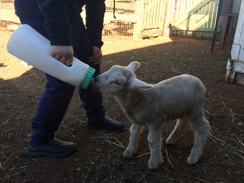 Taralga Wildlife Park - Attractions 0