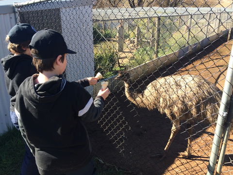 Taralga Wildlife Park - Attractions 2