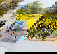 The Heron's Highway - Avon River Cycle Trail - Attractions
