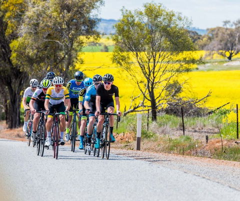 The West Side Story - Avon River Cycle Trail - Attractions 1