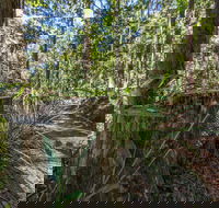 Thylogale Track - Attractions