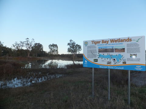 Tiger Bay Wetlands - Attractions 0