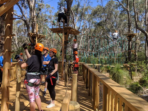 Trees Adventure - Yanchep Park - Attractions 0