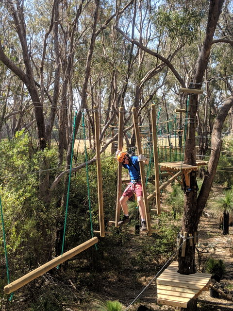 Trees Adventure - Yanchep Park - Attractions 1