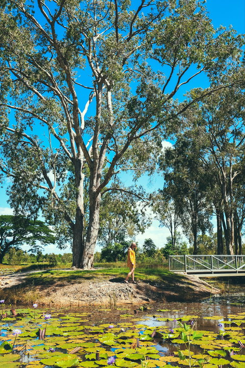 TYTO Wetlands - Attractions 1