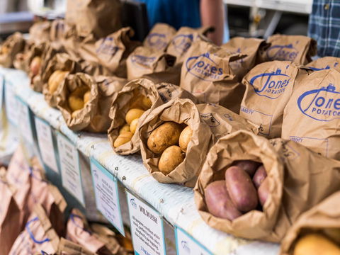Warragul Farmers Market - Attractions 2