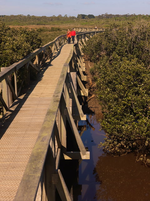 Warringine Park & Bittern Coastal Wetlands Boardwalk - Attractions 0