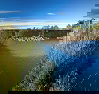 Weir View walking track - Attractions