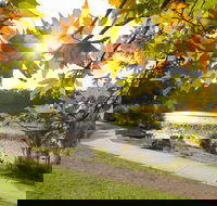 Wentworth Falls Lake - Attractions