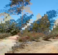 Werakata National Park - Attractions