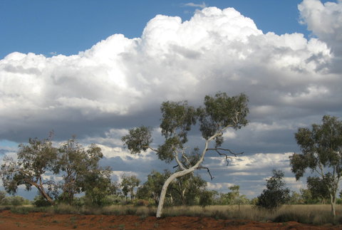 Windorah Nature Drive - Attractions 1