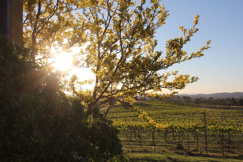 Wine Trail: Queanbeyan-Palerang - Attractions 1