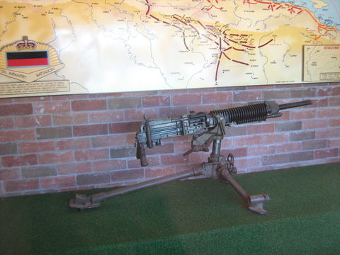 Woodpecker Gun - Attractions 0