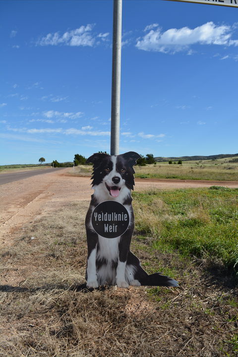 Yeldulknie Weir & Reservoir - Attractions Las Vegas 0