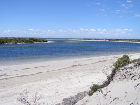 Acraman Creek Conservation Park - Attractions 0