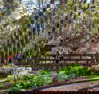Armadale - Attractions
